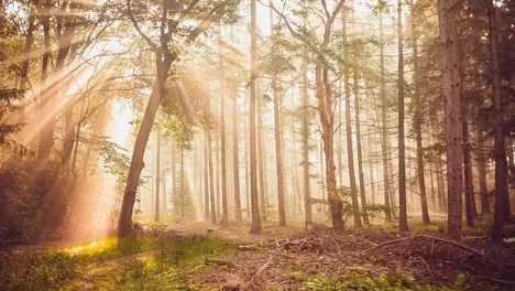 BLG击败TES斩获三连冠与年度总冠军，团队配合铸就无敌之师-雷火竞技